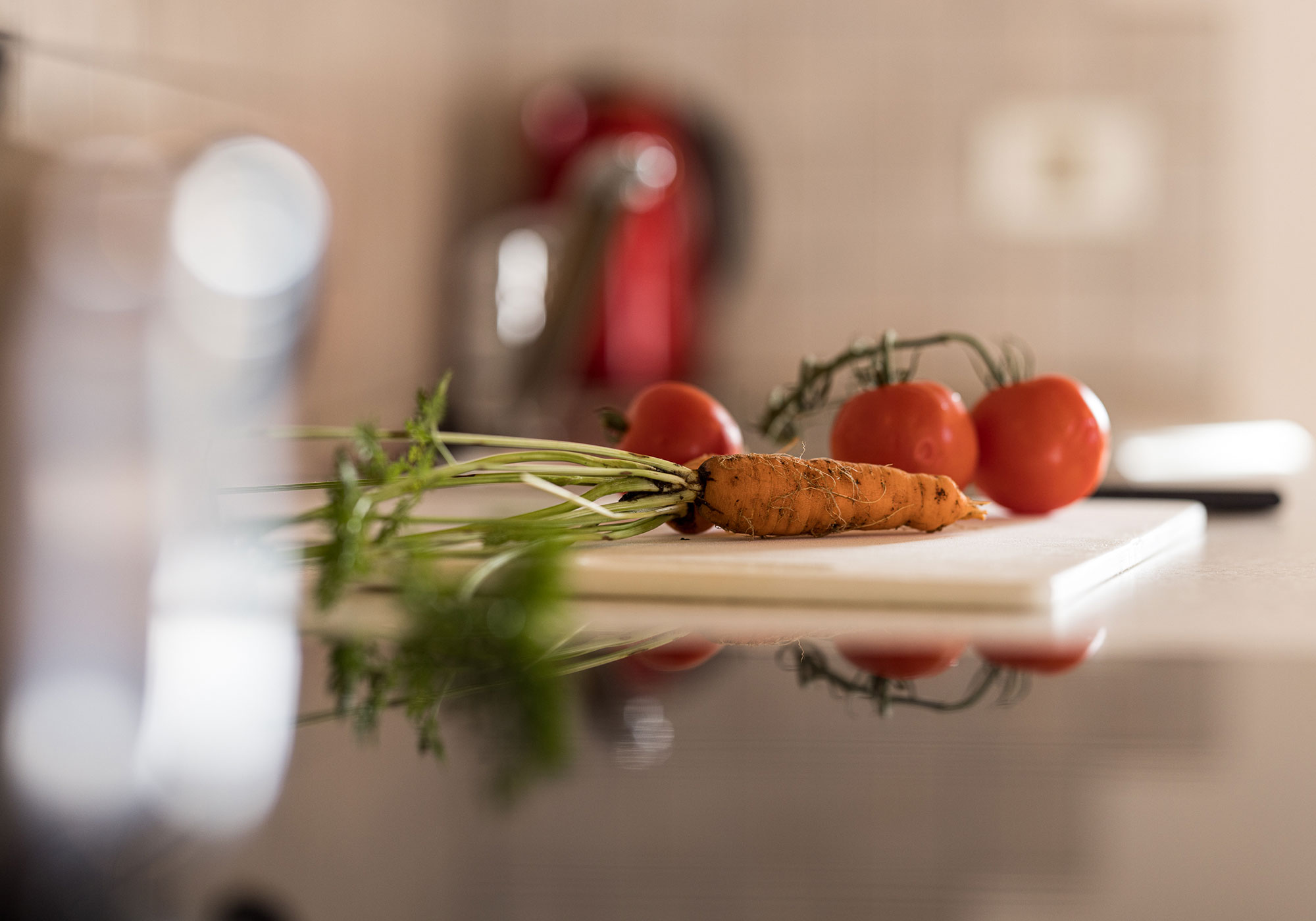 Dettagli appartamento Sass de Putia