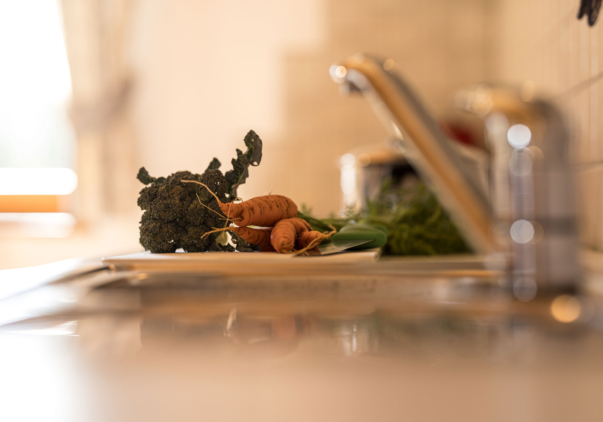 Dettaglio appartamento Rasciesa